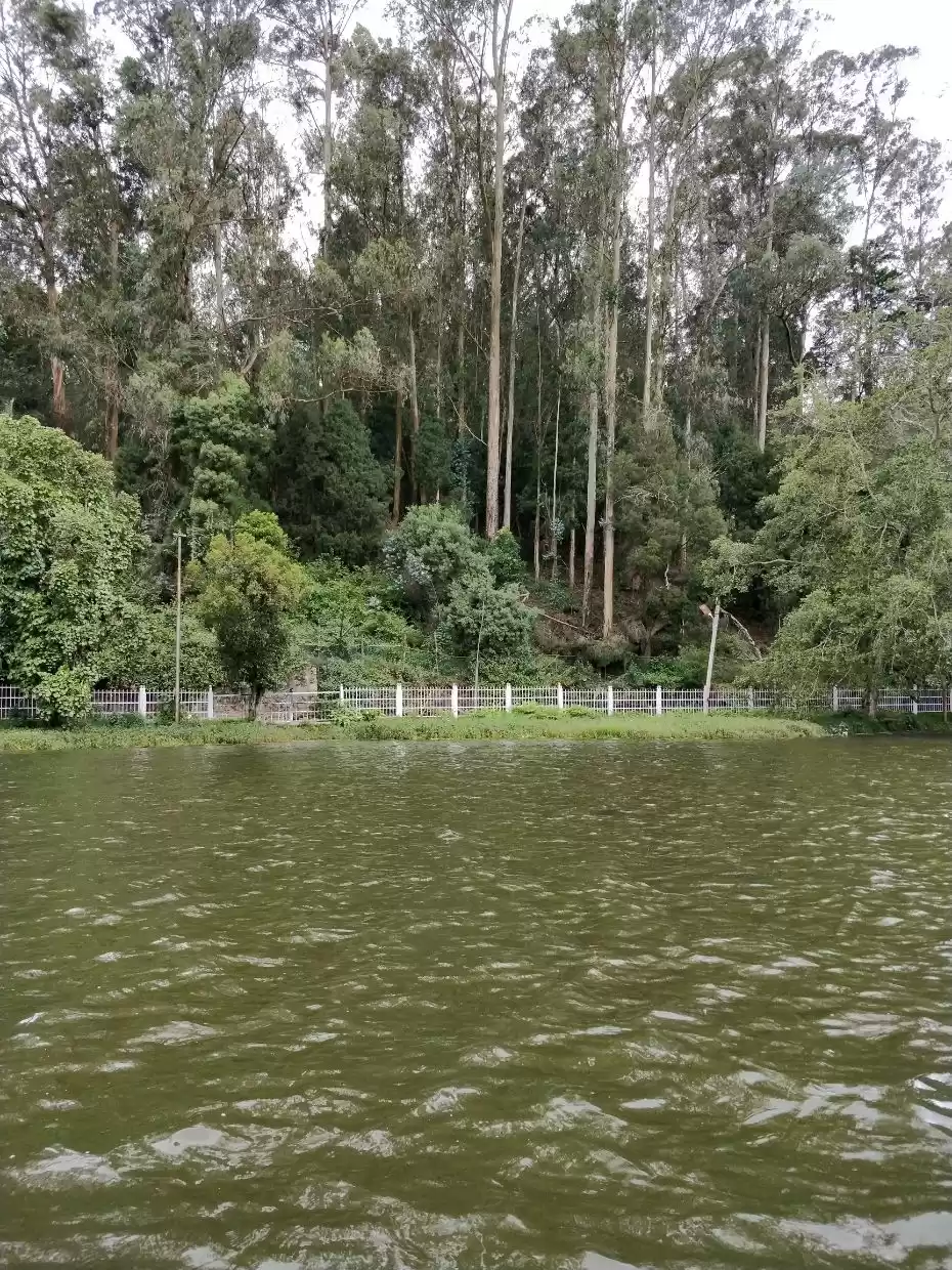 Photo of Princess of hills: K