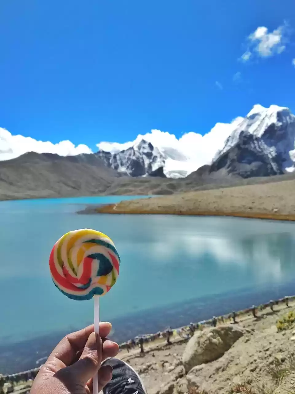 Photo of The Food is the View