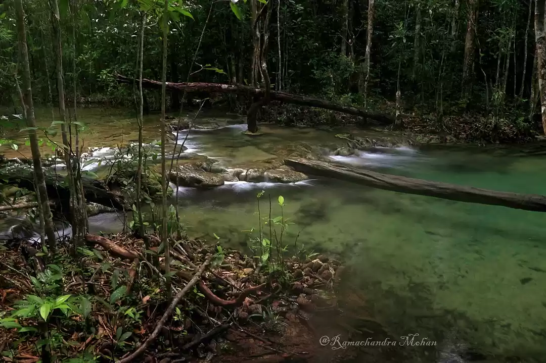 Photo of Emerald Pool Krabi T