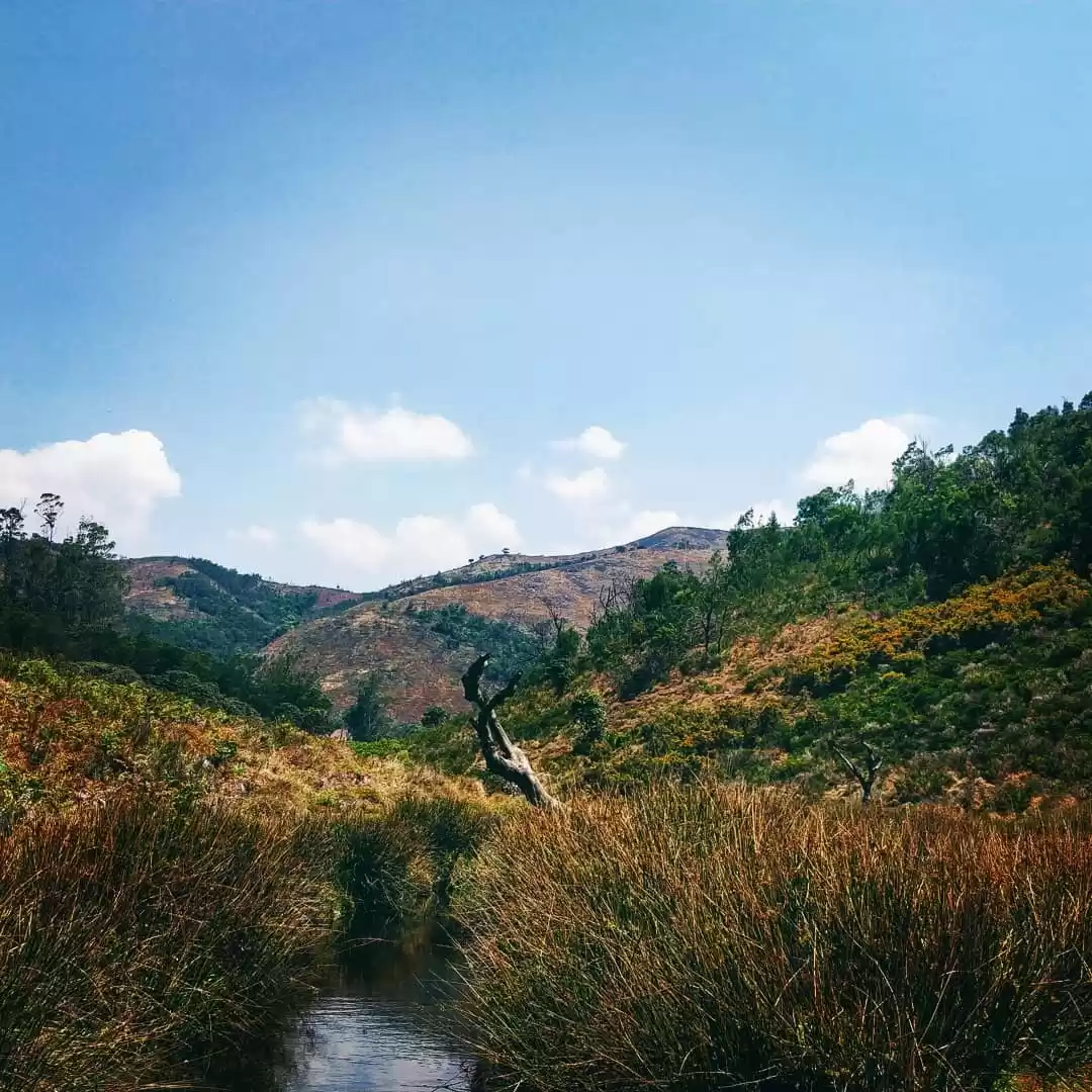 Photo of Avalanche and Kodana