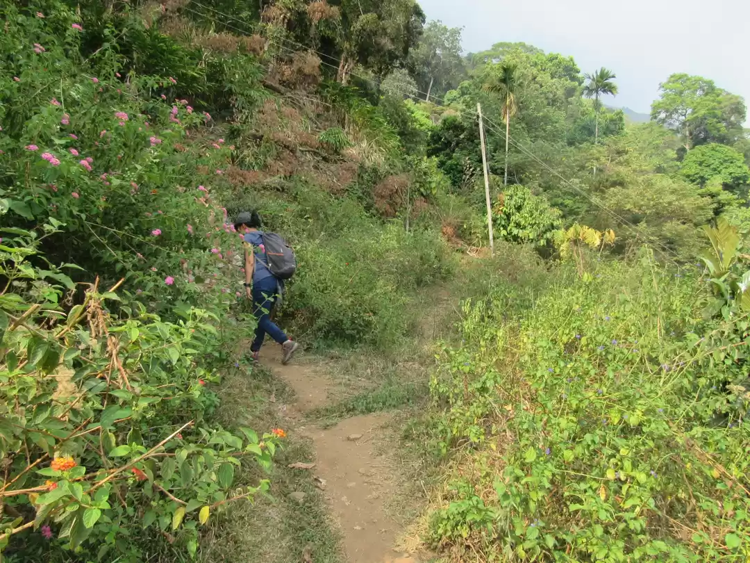 Photo of Trek to Laxmi Hills,