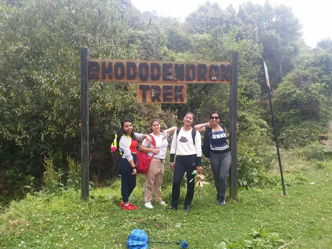 Photo of Rhododendron Trek,