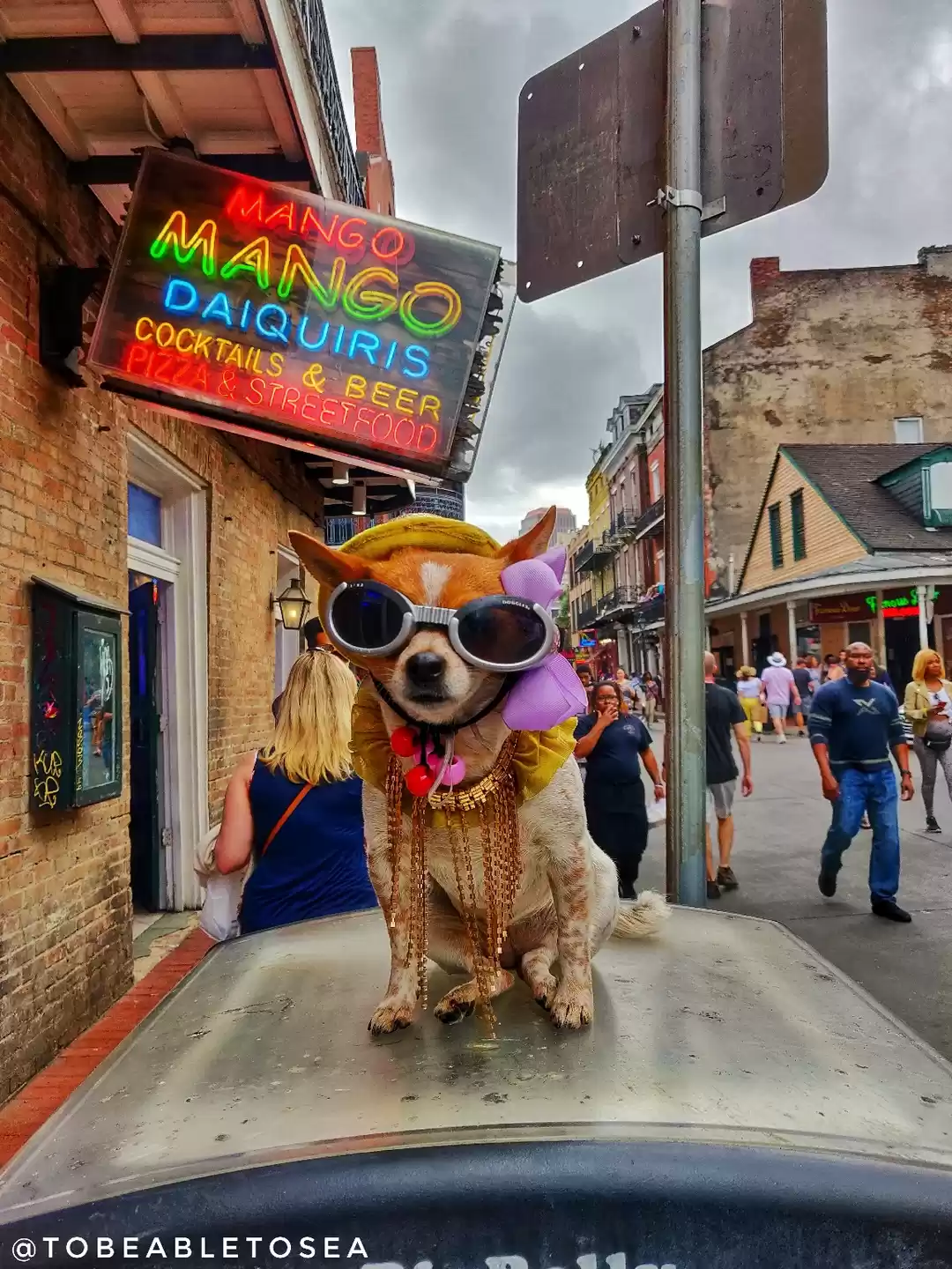 Photo of Jazz by NOLA