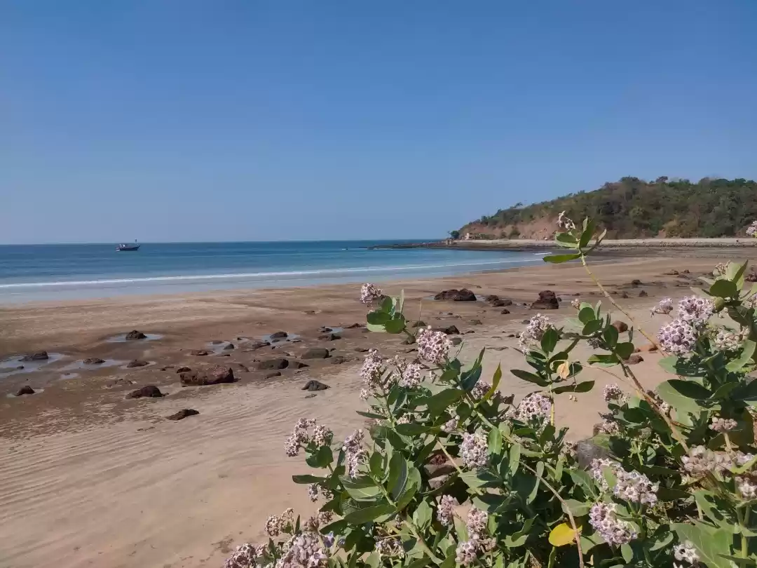 Photo of Ganpatipule Places T