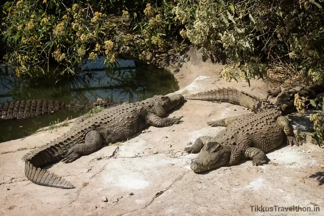 Photo of What I learnt from t