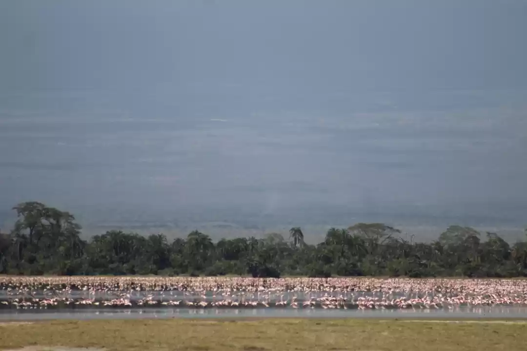 Photo of Hakuna Matata from K