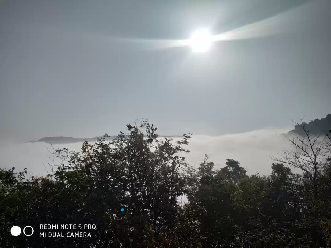 Photo of Glimpse of coorg..a 