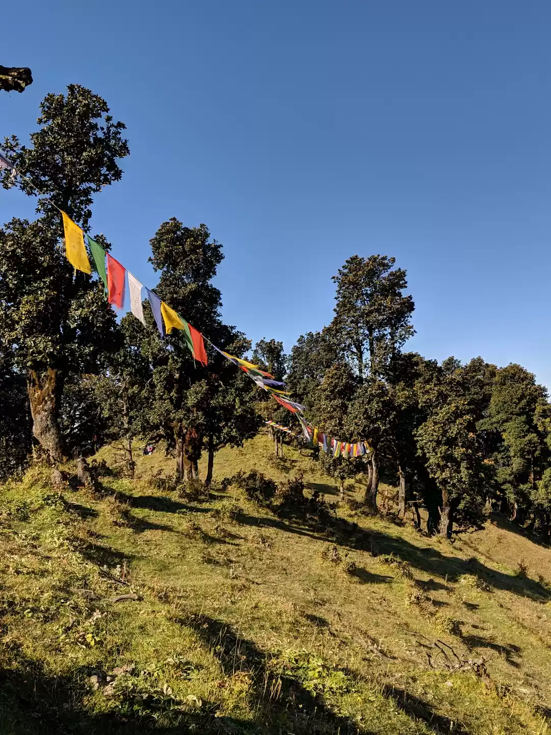 Photo of A Step in the Right