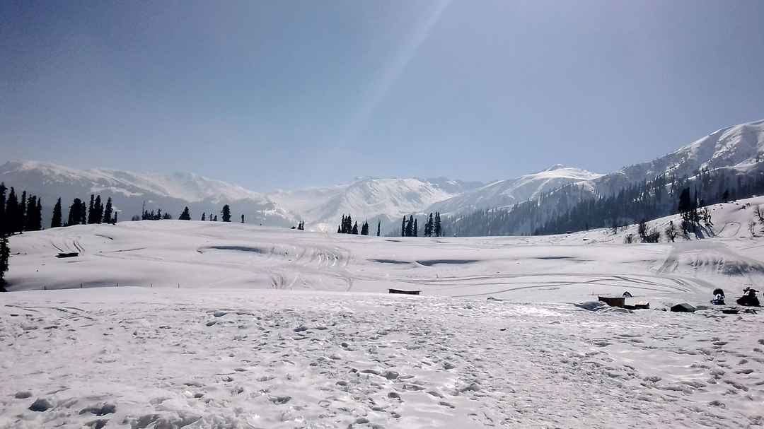Gulmarg(Kashmir):Say Meadows of flower or Heaven on Earth - Tripoto