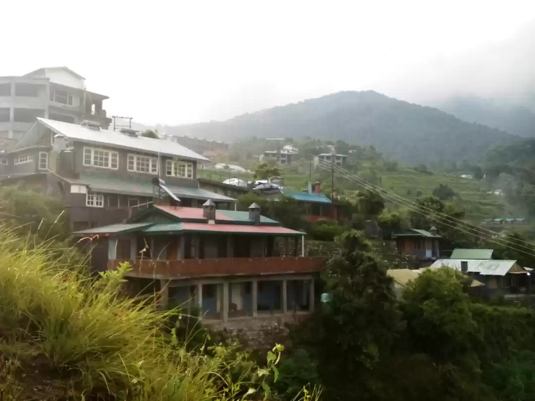 Photo of Pangot-Magnificent p