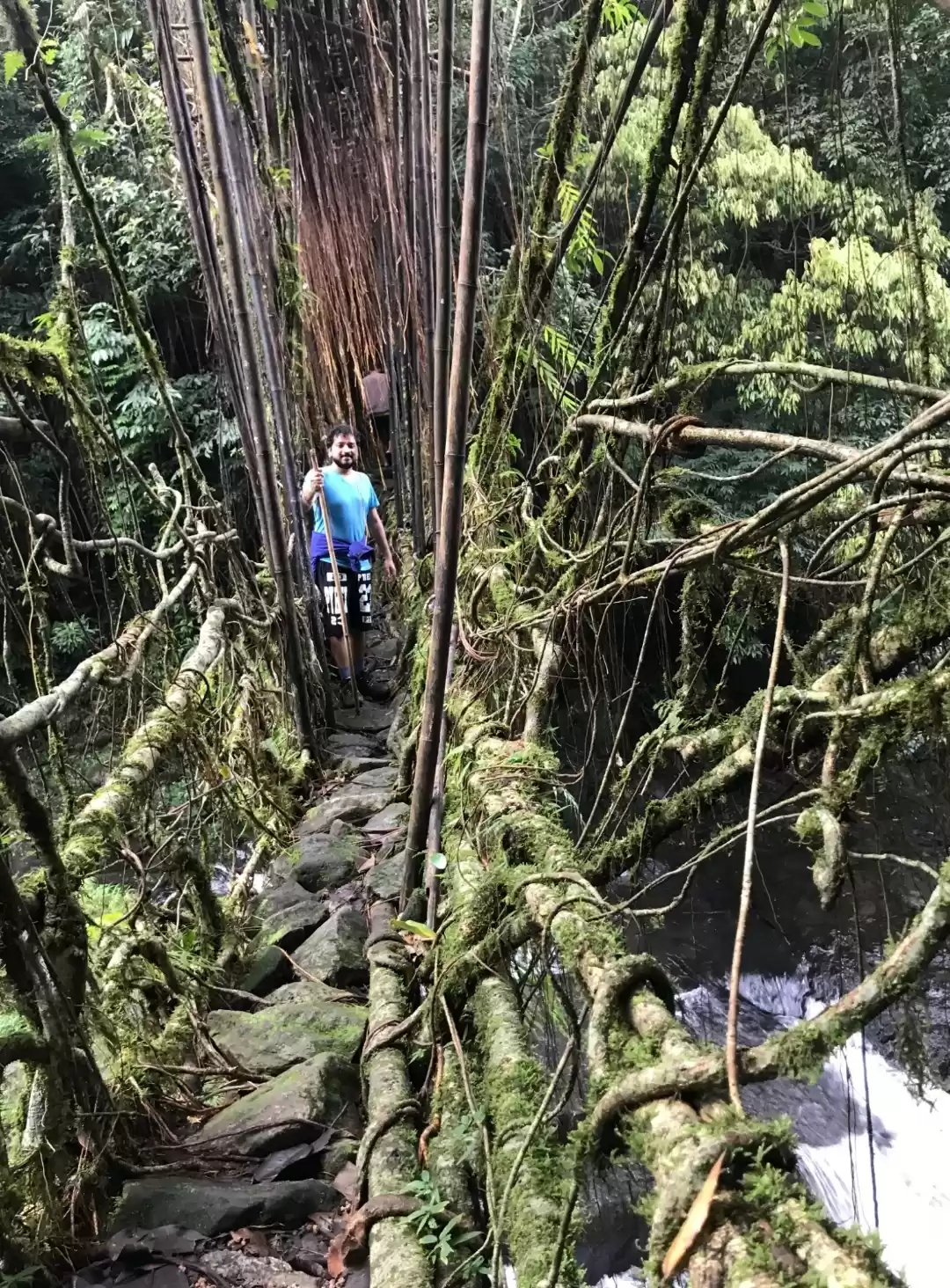 Photo of Meghalaya in Picture