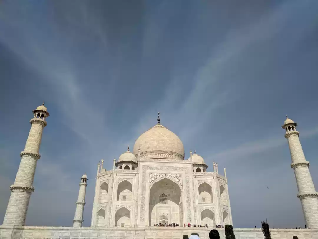 Photo of A wonder on the bank