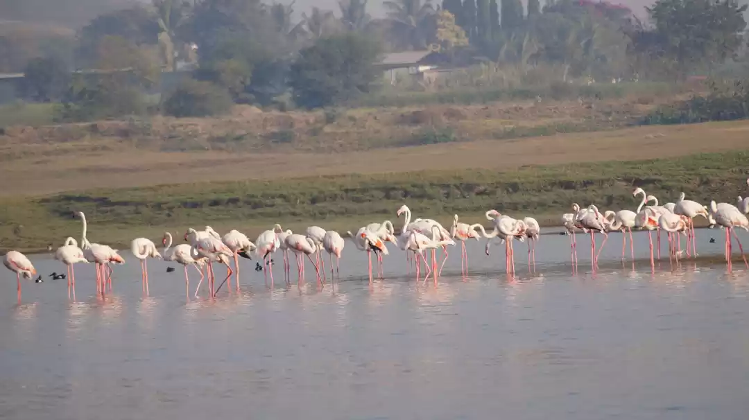 Photo of Bhigwan-a photograph