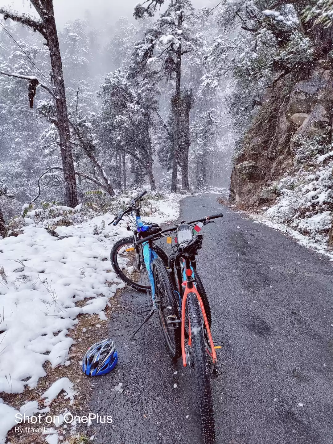 Photo of Lamang indo china bo
