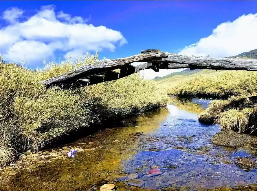 Photo of नॉर्थ ईस्ट भारत की स