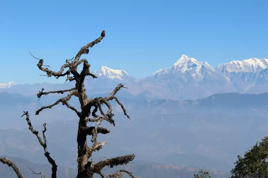 Photo of एक ट्रेक जहाँ से दिख