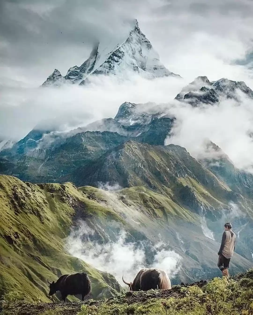 Photo of देखा नहीं होगा ऐसा स