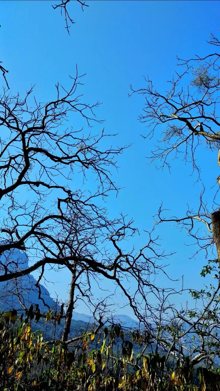 Photo of Dhak-Bhahiri Trek. 