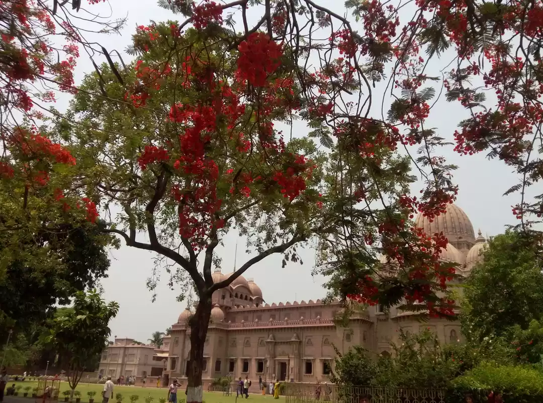 Photo of Belur math