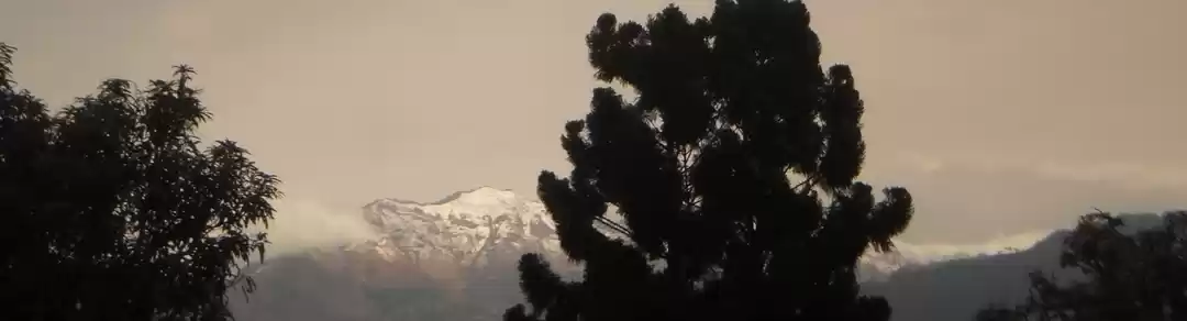 Photo of Into the Heart of th