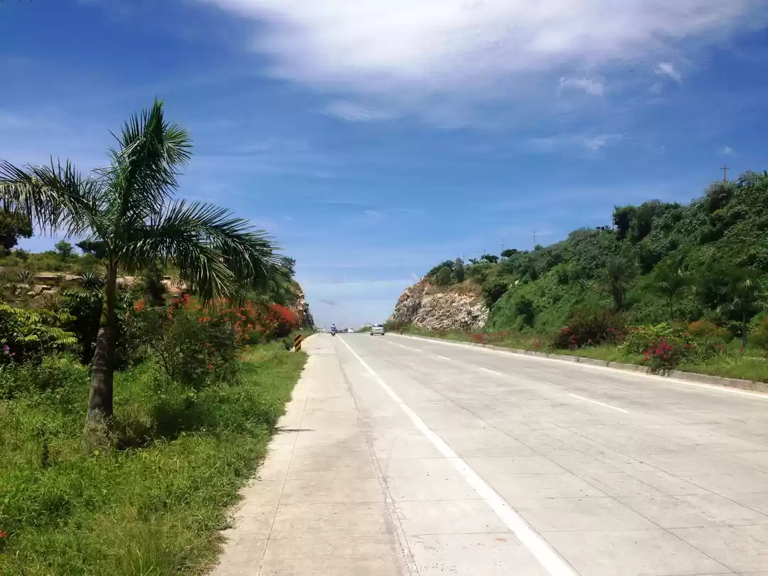 Photo of 50 shades of green- 