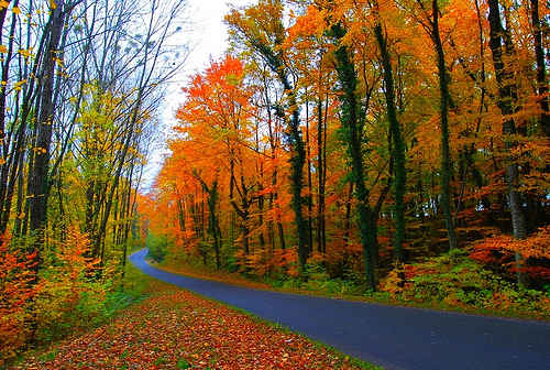 Bollywood Songs That Prove Switzerland Is the Most Romantic Place - Tripoto