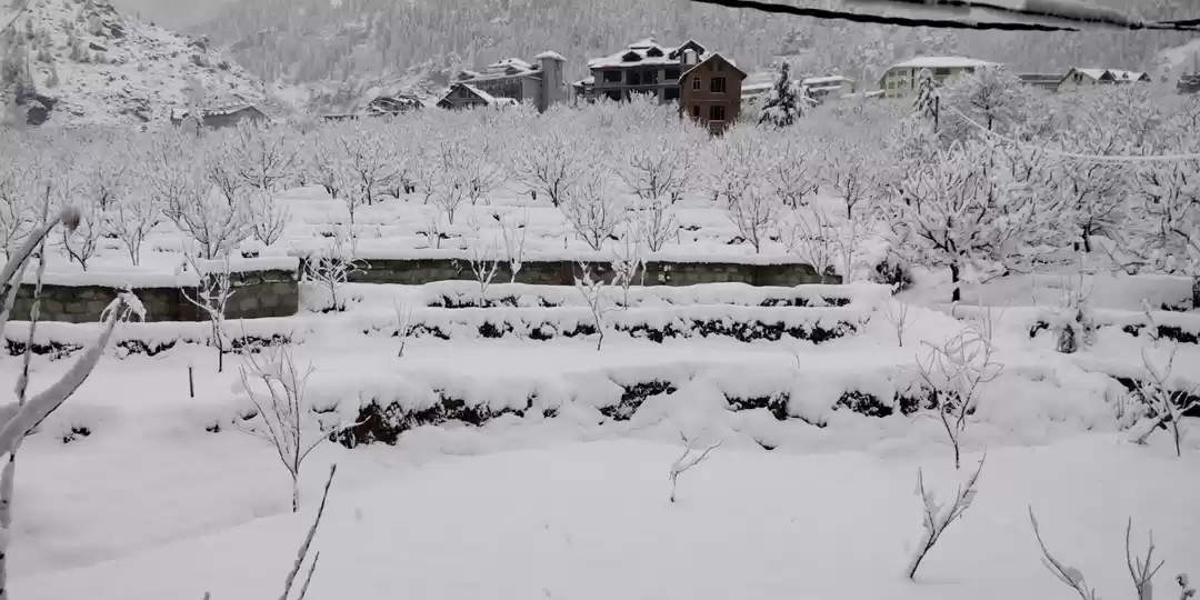 Photo of Manali the winter wo