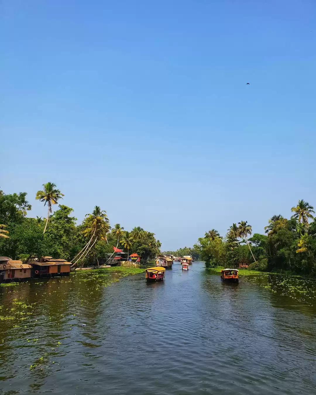 Photo of The Gods own country