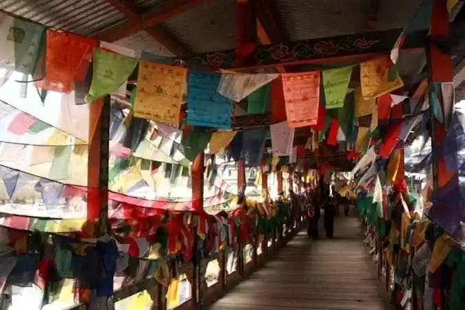 Photo of The Delight of Sikkh