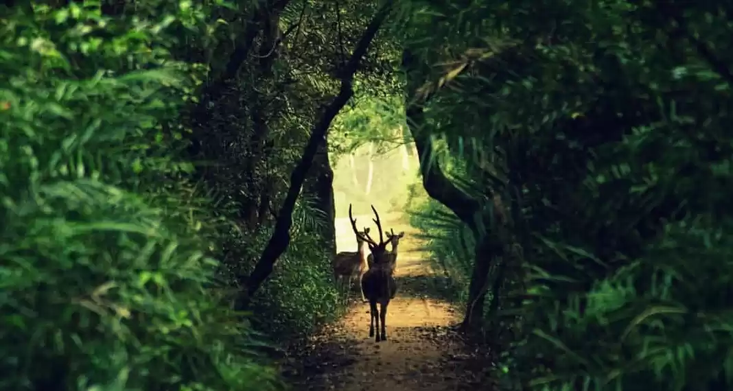 Photo of Odisha offbeat - exp