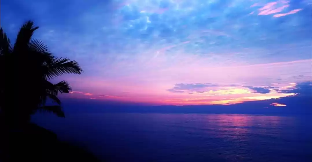 Photo of Alibaug - frolic in