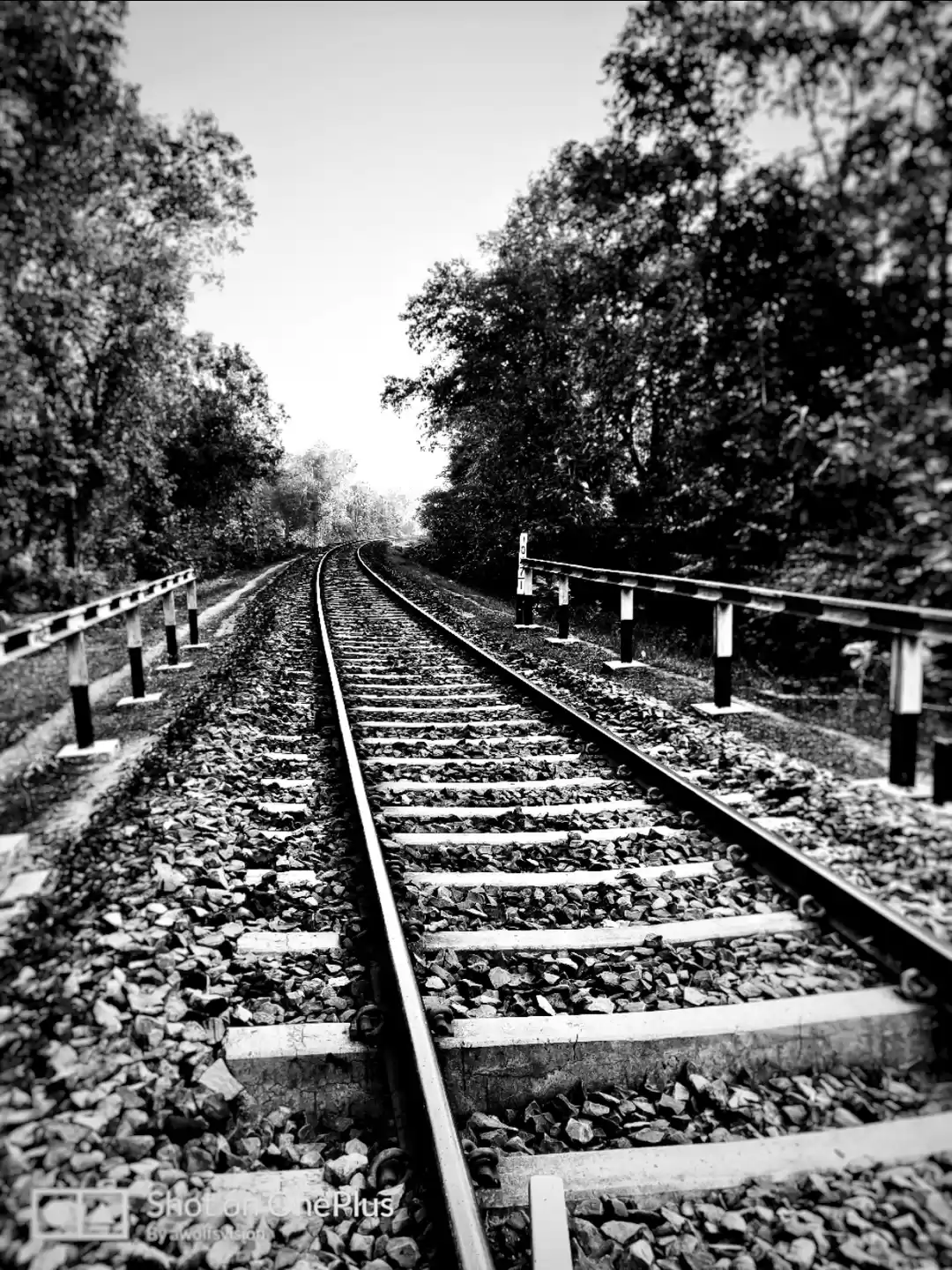 Photo of Best of Balaghat