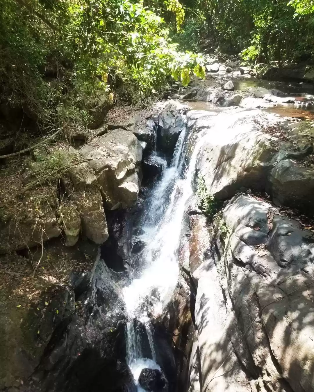 Photo of Jungle, Waterfalls