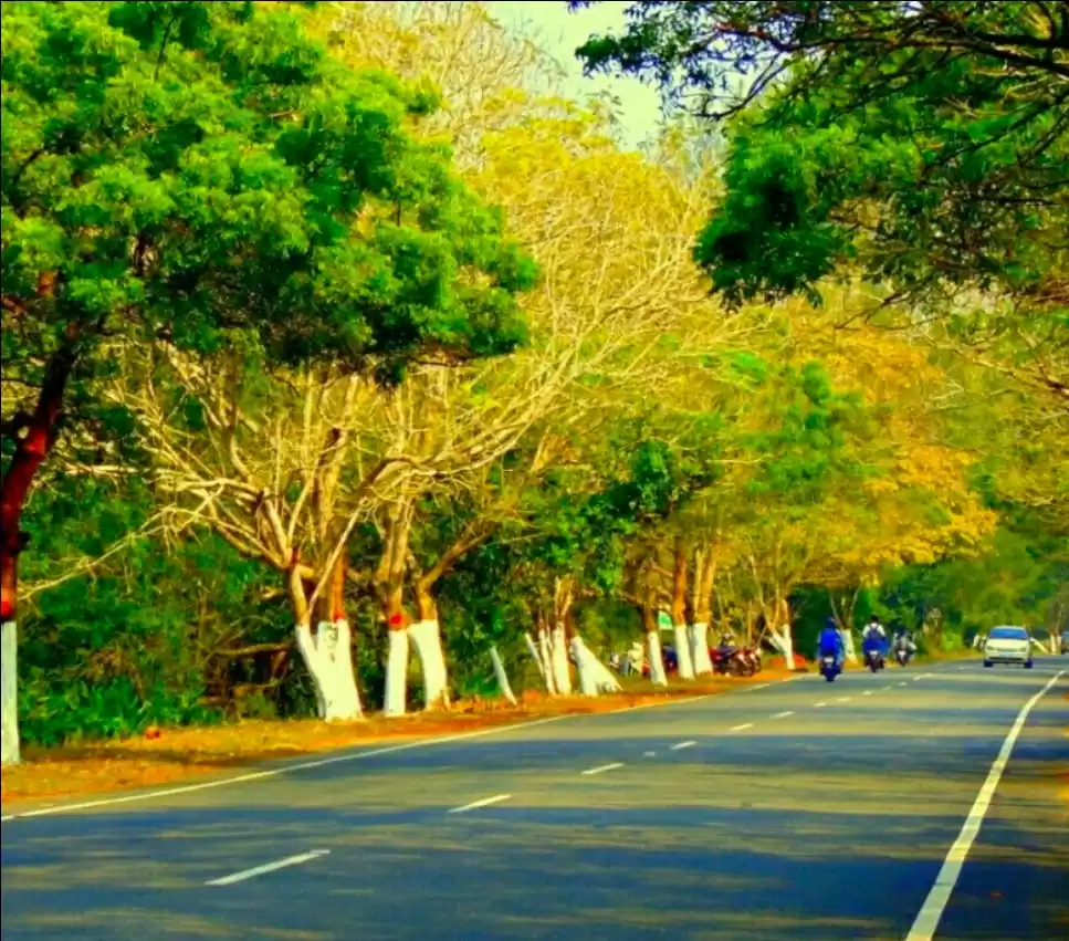 Photo of The khajuraho of Odi