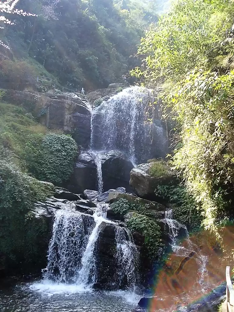 Photo of Scintillating Sikkim