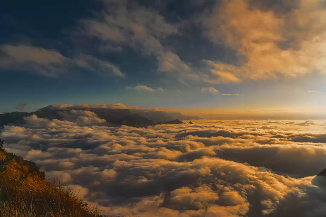 Photo of Live to travel God's