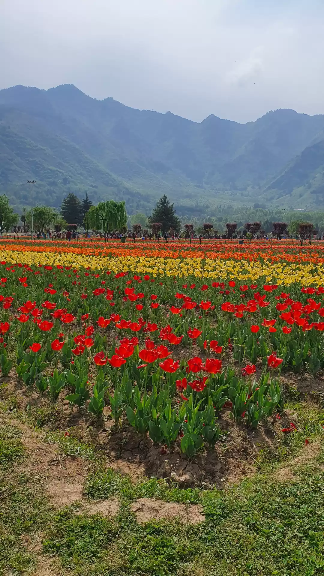 Photo of Heaven on Earth "Kas