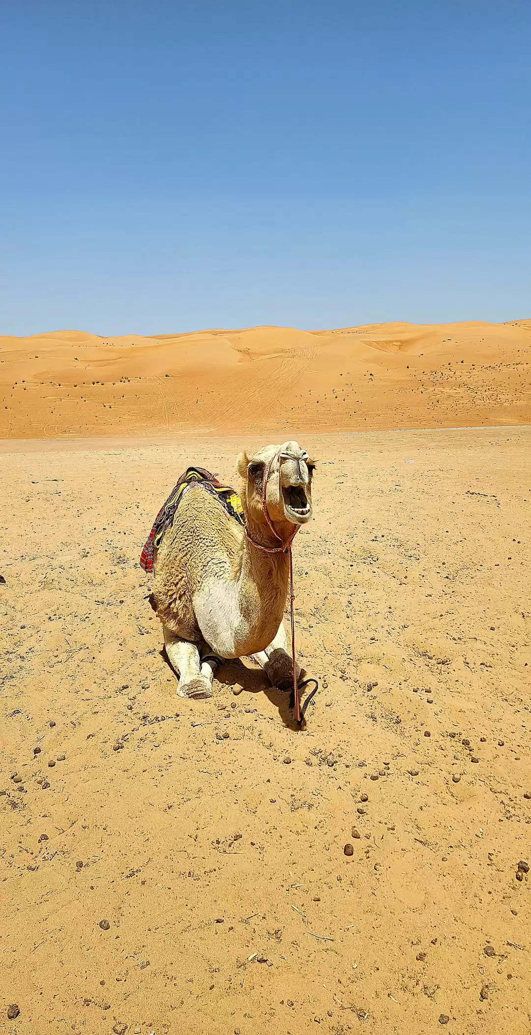 Photo of Oman- "Beauty Has An