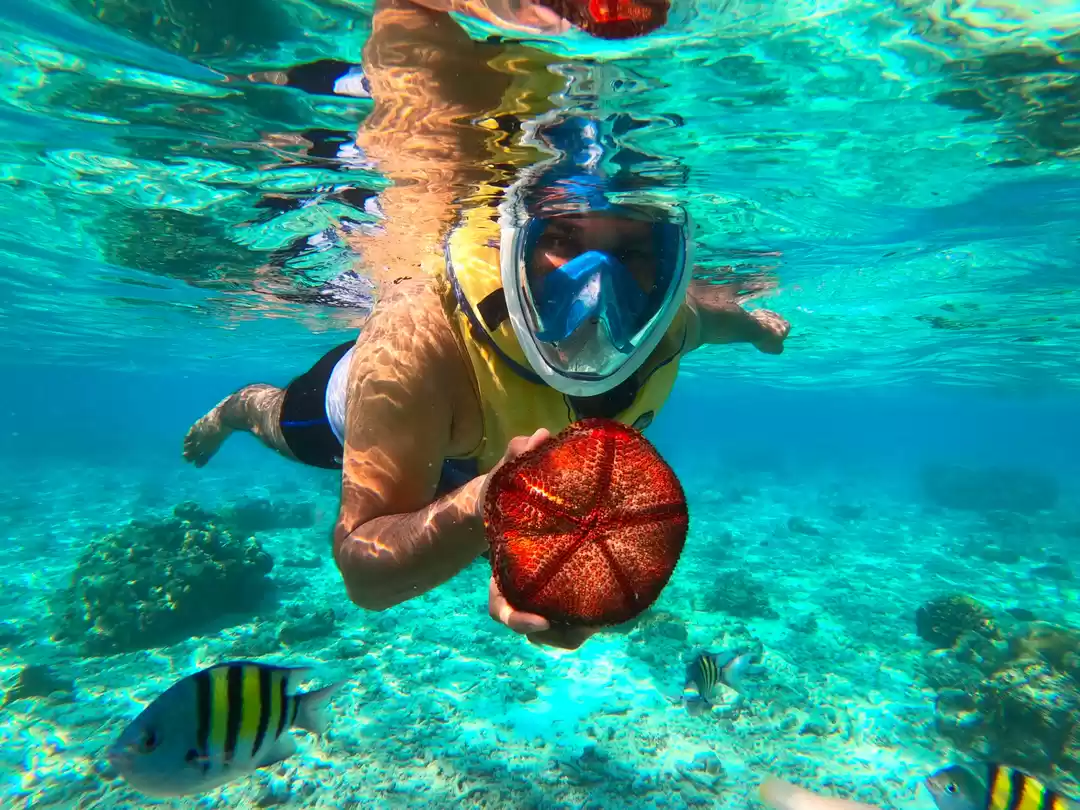 Photo of A JOURNEY TO A HIDDE