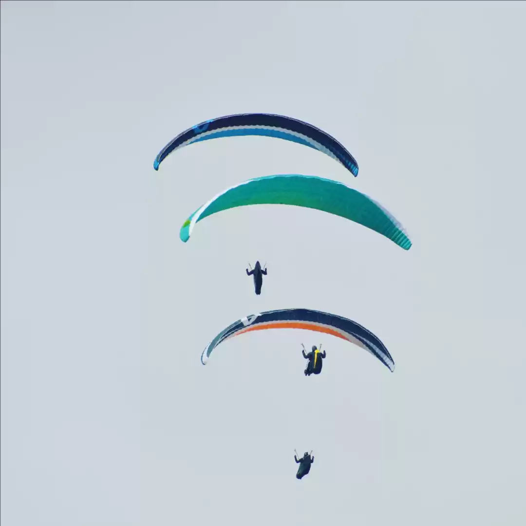 Photo of Paragliding in Bir B