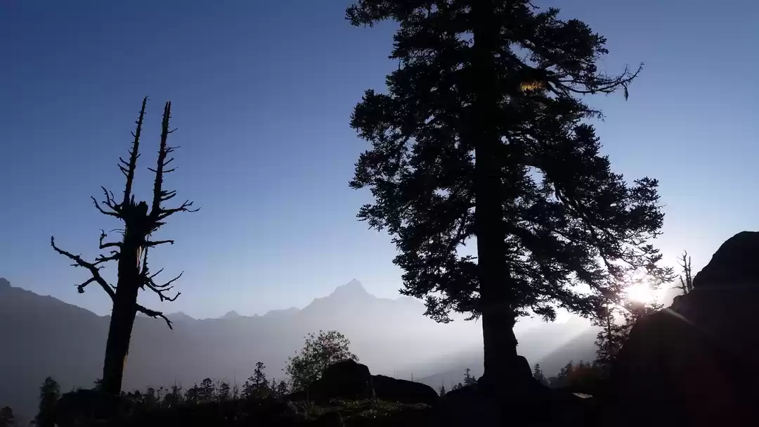 Photo of Kuari Pass trekking 