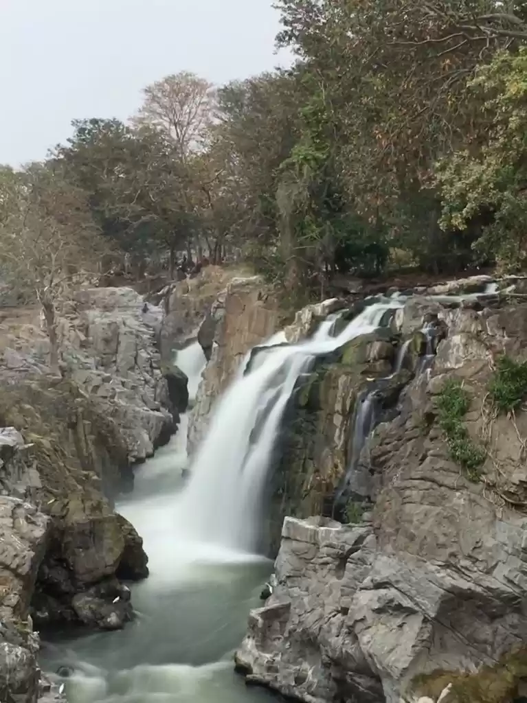 Photo of Bike Trip | 1 Day |