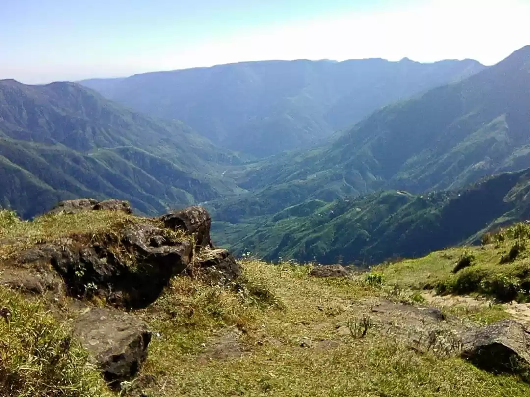 Photo of Nokrek National Park