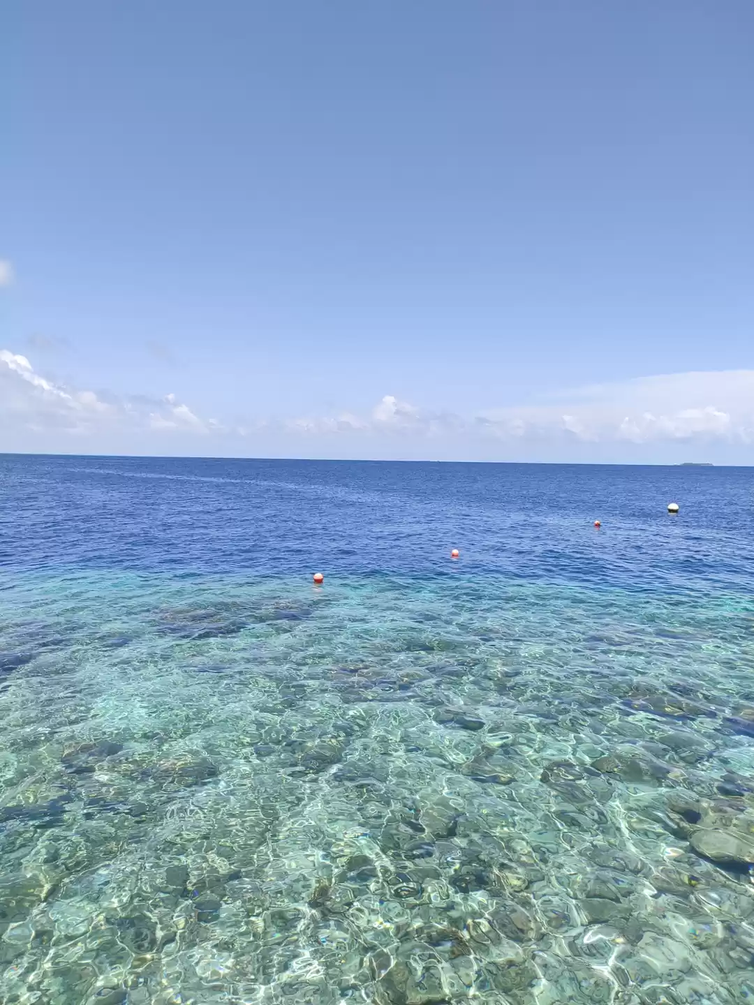 Photo of Blue..Bluer..Bluest.