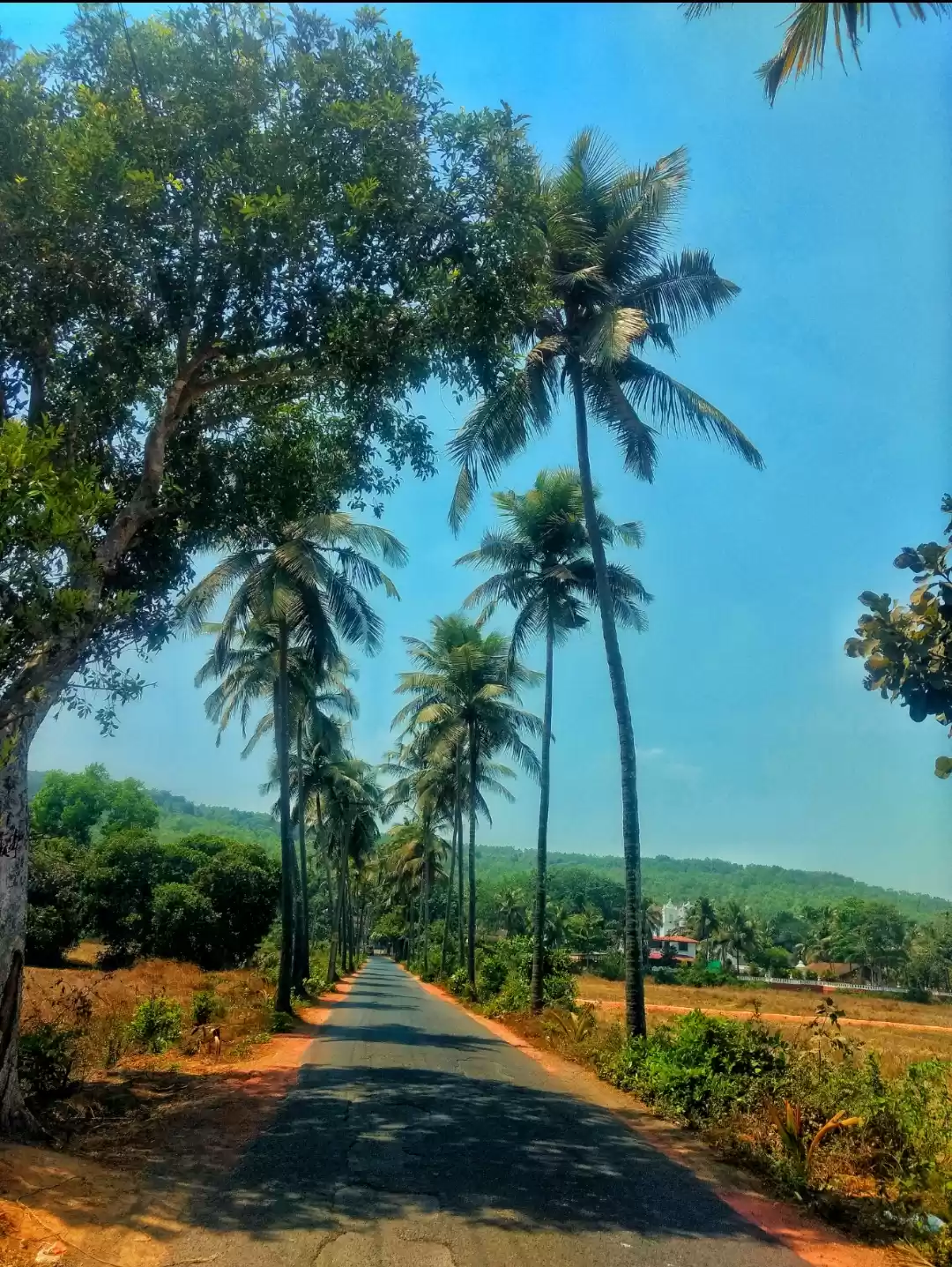 Photo of Goa: a total transfo