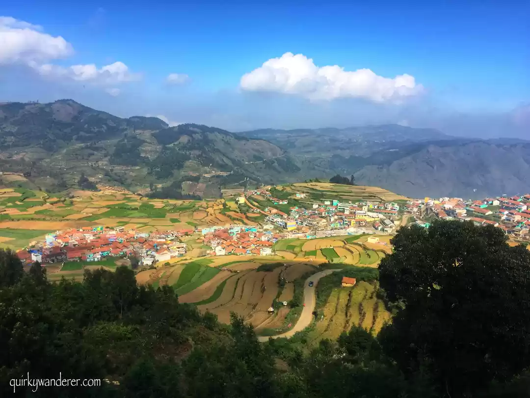 Photo of Offbeat Kodaikanal e