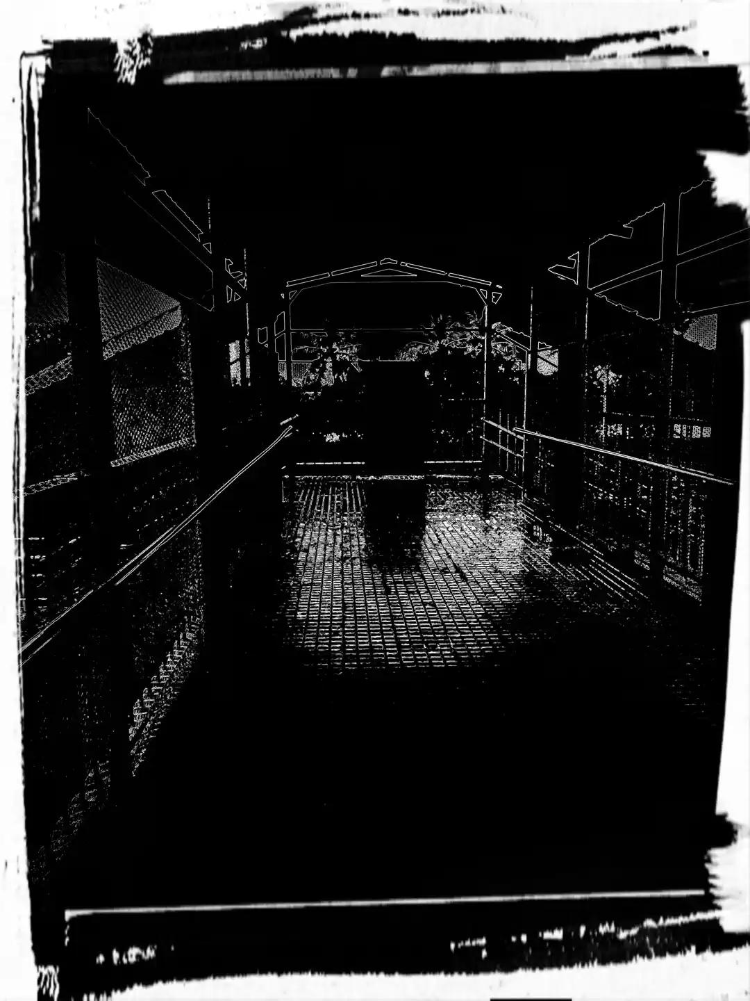 Photo of Journey in a local t