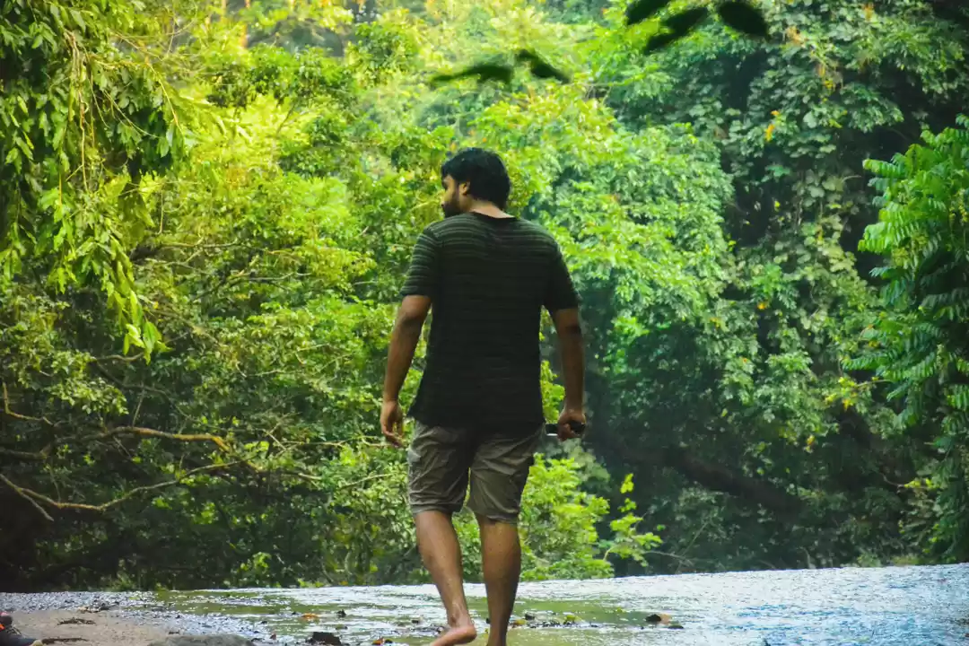 Photo of Dhoni waterfall & f