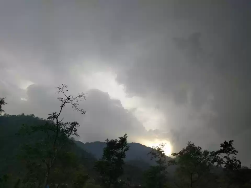 Photo of Sunny and Rainy Rish