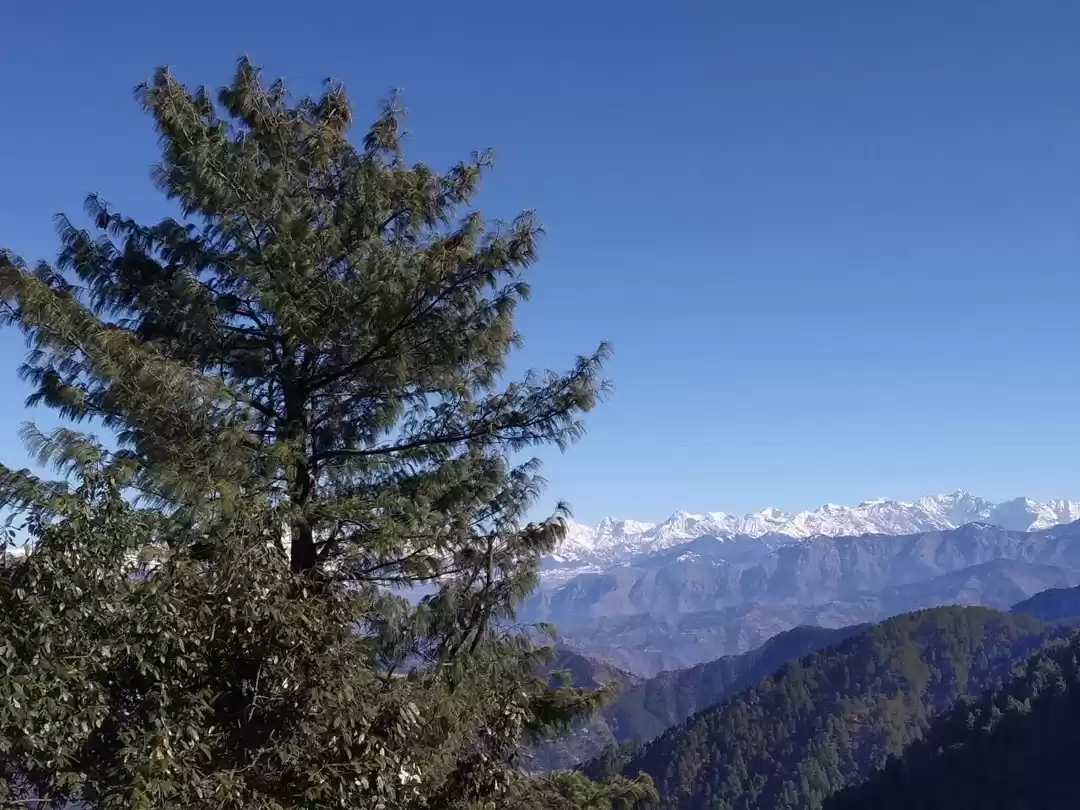 Photo of View from Gandhi Cho